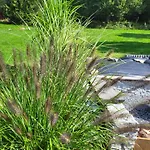 Lavendowa Oaza 펜션 *
