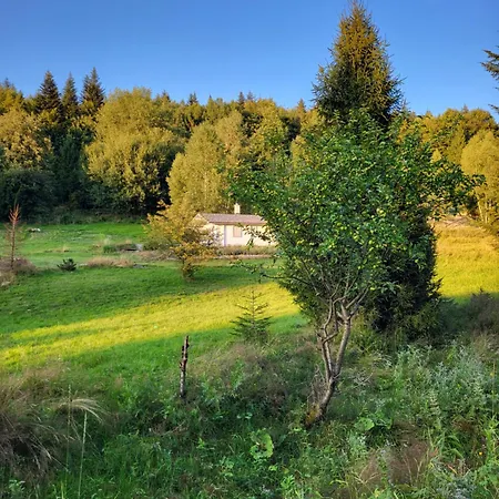 Tatil Evi Lavendowa Oaza Kocierz Rychwaldzki