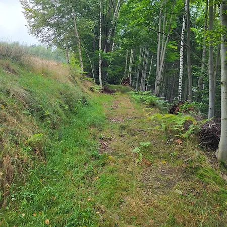 Lavendowa Oaza בית נופש Kocierz Rychwaldzki