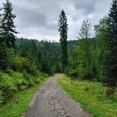 Lavendowa Oaza Holiday home Kocierz Rychwaldzki