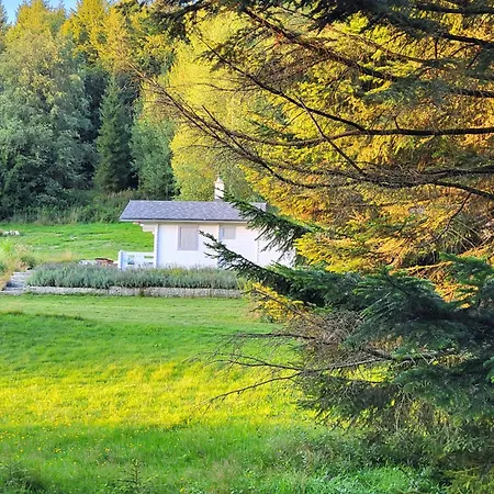 別荘 Lavendowa Oaza Kocierz Rychwaldzki