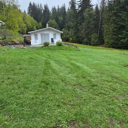 Lavendowa Oaza * Kocierz Rychwaldzki