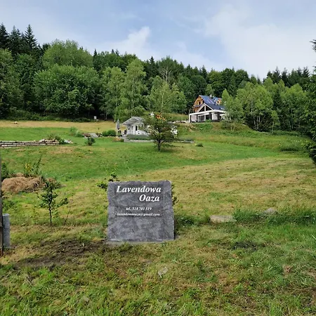 Lavendowa Oaza בית נופש Kocierz Rychwaldzki