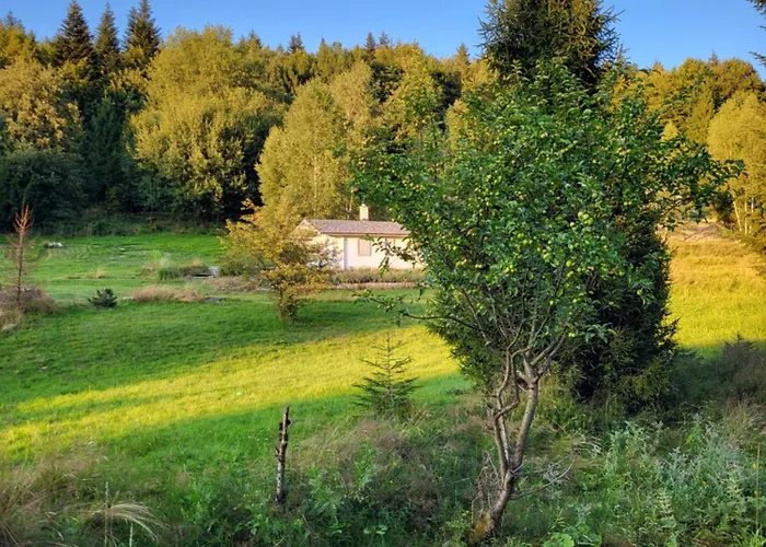 Tatil Evi Lavendowa Oaza Kocierz Rychwaldzki