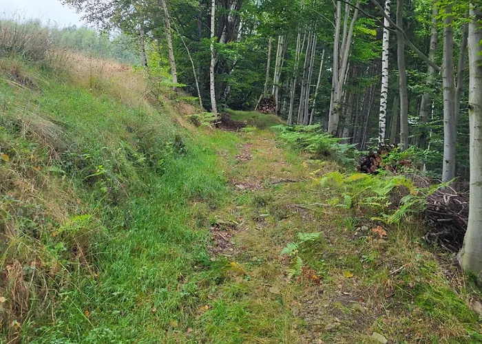 Lavendowa Oaza 펜션 Kocierz Rychwaldzki