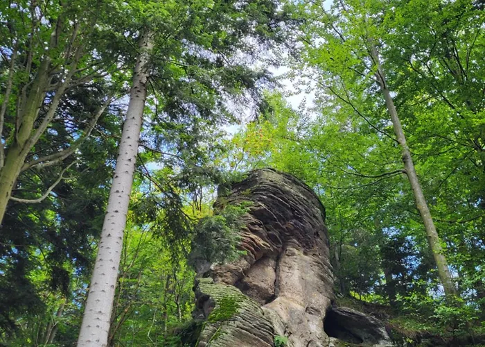 Lavendowa Oaza * Kocierz Rychwaldzki
