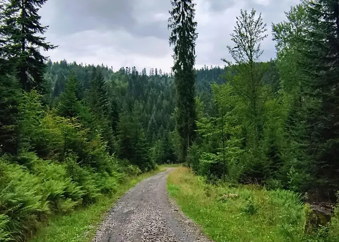 Lavendowa Oaza Σπίτι διακοπών Kocierz Rychwaldzki