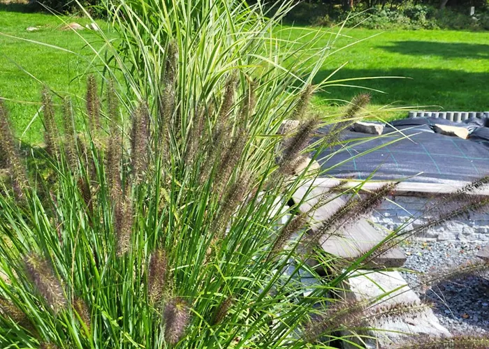 Lavendowa Oaza Prázdninový dům *