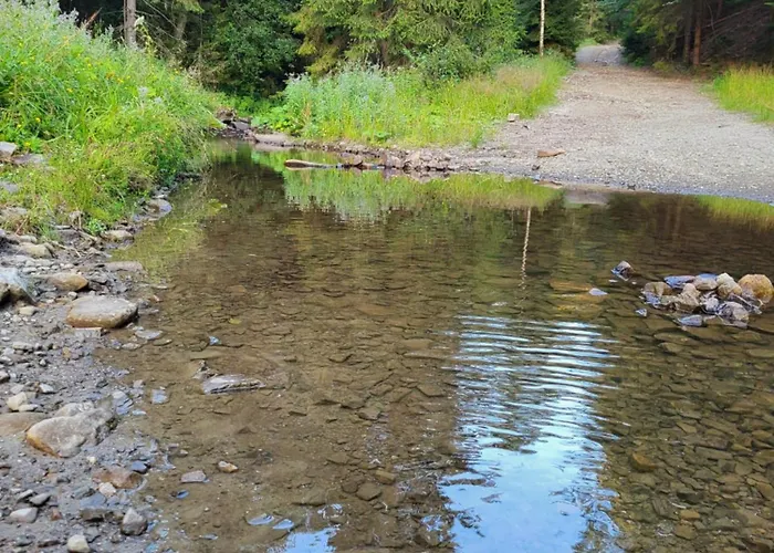 Lavendowa Oaza Tatil Evi