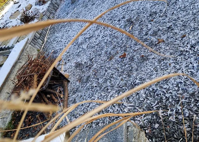 Lavendowa Oaza Holiday home *