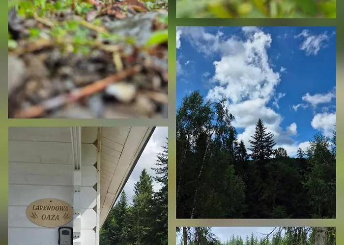 Lavendowa Oaza * Kocierz Rychwaldzki