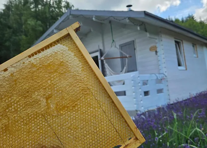 Lavendowa Oaza * Kocierz Rychwaldzki