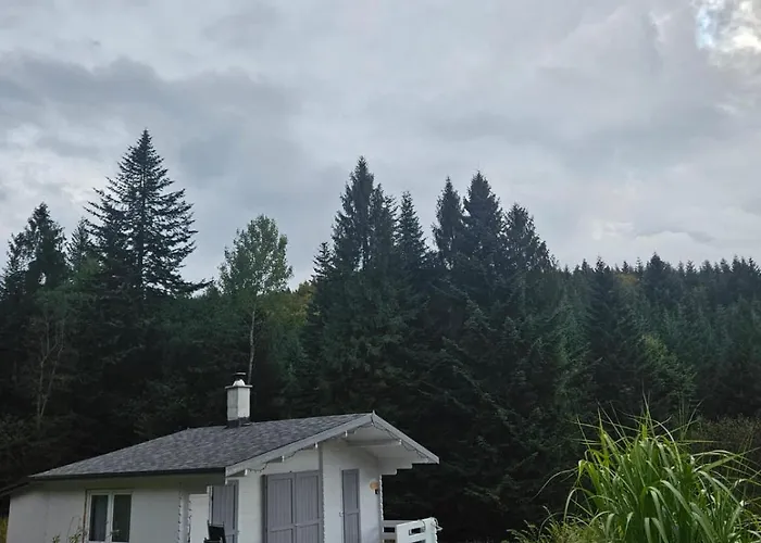 Lavendowa Oaza Tatil Evi